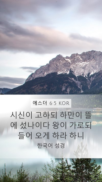 에스더 6:5 KOR Mobile Phone Wallpaper - 시신이 고하되 하만이 뜰에 섰나이다 - Mobile Bible Verse Wallpaper