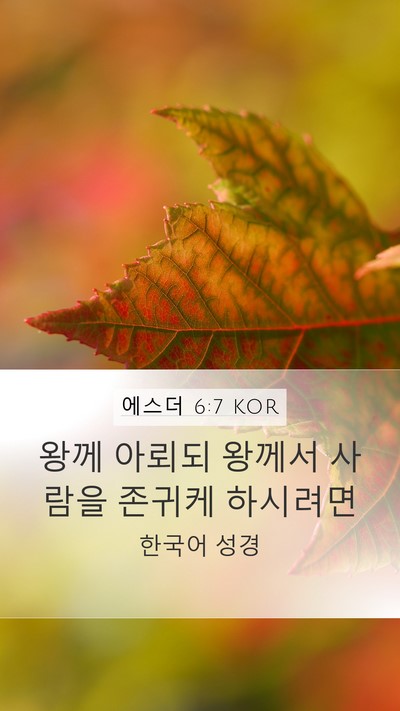에스더 6:7 KOR Bible Verse Image