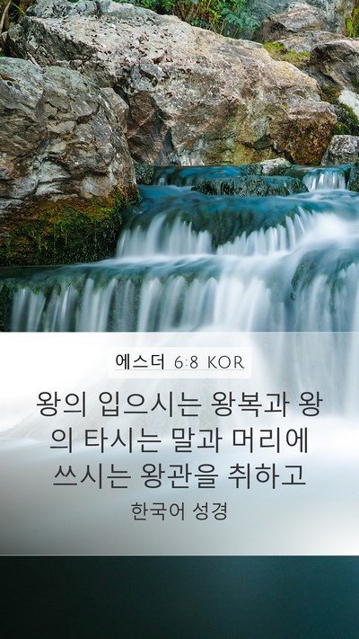 에스더 6:8 KOR Bible Verse Image