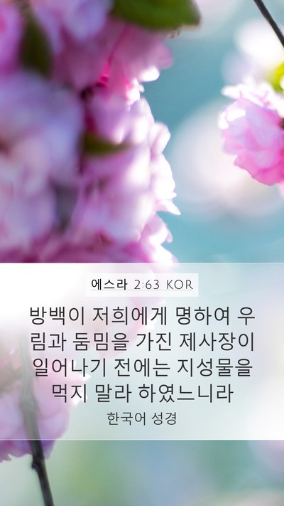에스라 2:63 KOR Bible Verse Image