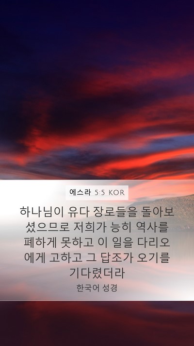 에스라 5:5 KOR Bible Verse Image