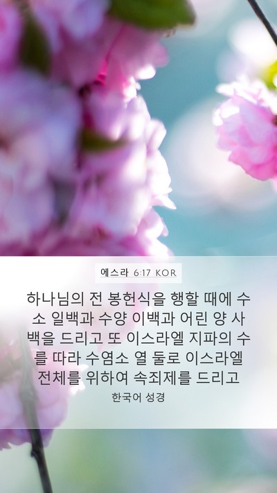 에스라 6:17 KOR Bible Verse Image