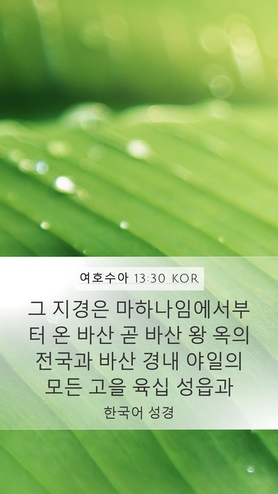 여호수아 13:30 KOR Mobile Phone Wallpaper - 그 지경은 마하나임에서부터 온 바산 - Mobile Bible Verse Wallpaper