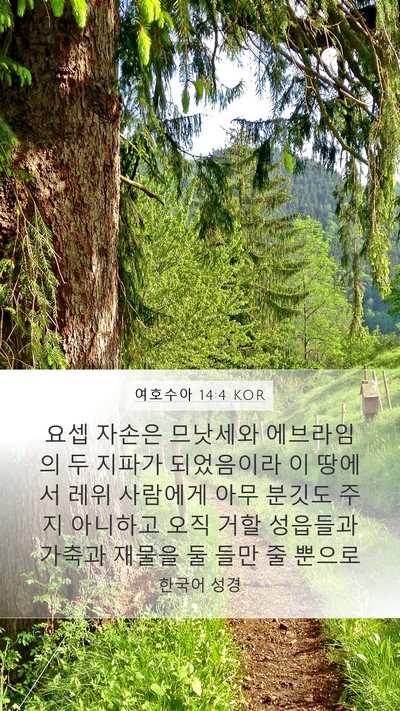 여호수아 14:4 KOR Bible Verse Image