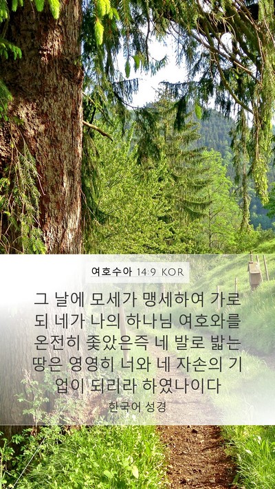 여호수아 14:9 KOR Bible Verse Image