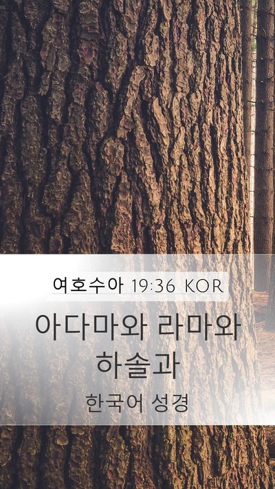 여호수아 19:36 KOR Bible Verse Image