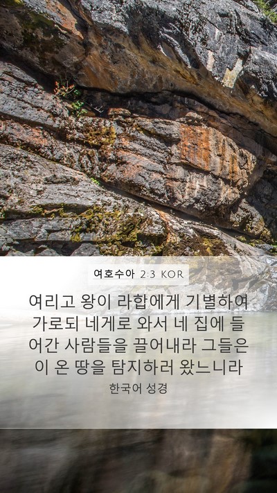 여호수아 2:3 KOR Bible Verse Image
