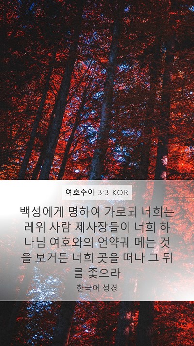 여호수아 3:3 KOR Bible Verse Image