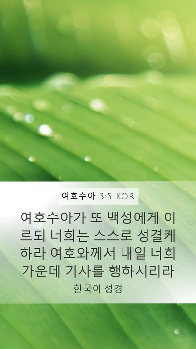 여호수아 3:5 KOR Bible Verse Image