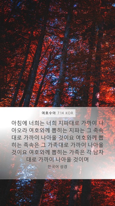 여호수아 7:14 KOR Mobile Phone Wallpaper - 아침에 너희는 너희 지파대로 가까이 - Mobile Bible Verse Wallpaper