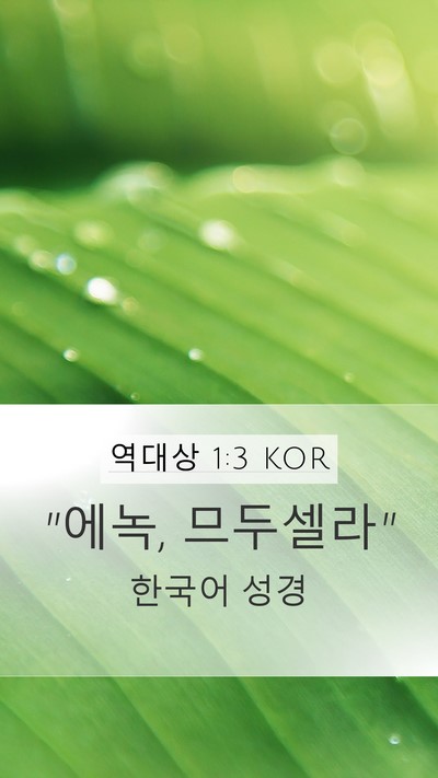 역대상 1:3 KOR Bible Verse Image