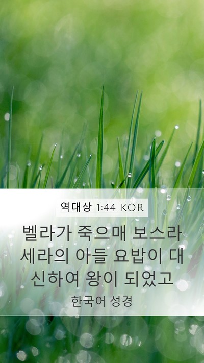 역대상 1:44 KOR Mobile Phone Wallpaper - 벨라가 죽으매 보스라 세라의 아들 - Mobile Bible Verse Wallpaper