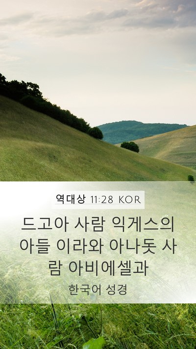 역대상 11:28 KOR Bible Verse Image
