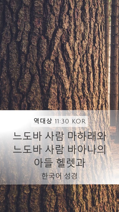 역대상 11:30 KOR Bible Verse Image