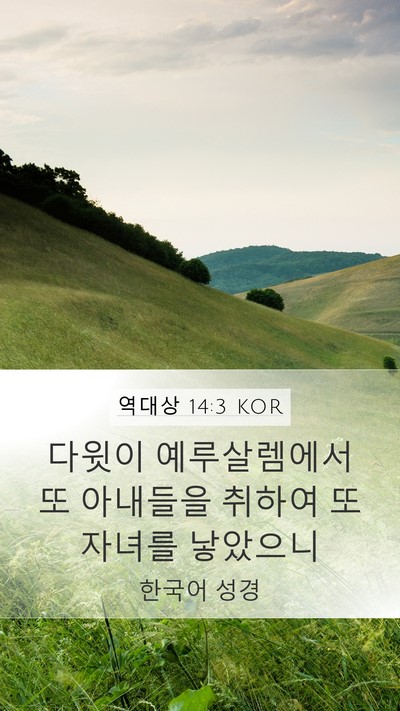 역대상 14:3 KOR Bible Verse Image