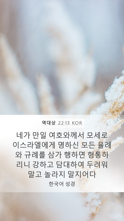 역대상 22:13 KOR Bible Verse Image
