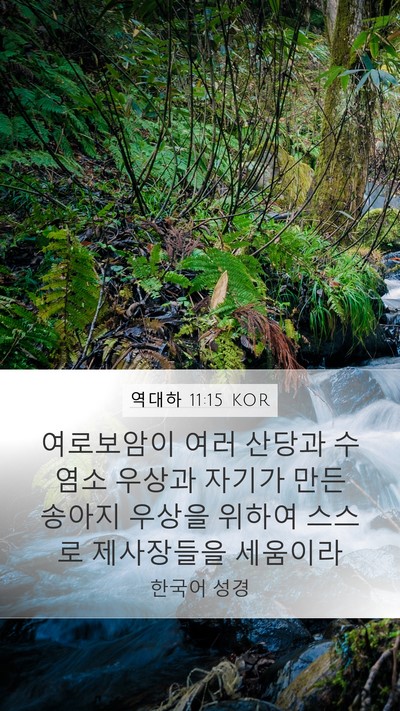 역대하 11:15 KOR Bible Verse Image
