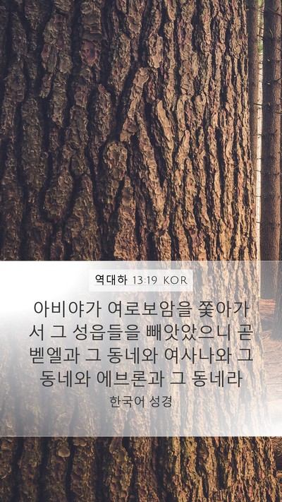 역대하 13:19 KOR Bible Verse Image