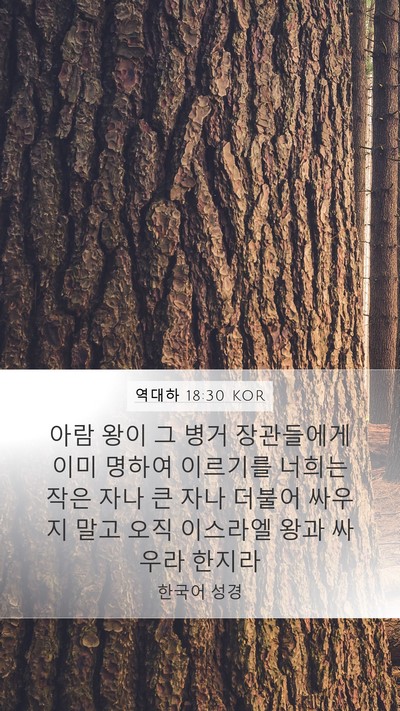 역대하 18:30 KOR Bible Verse Image