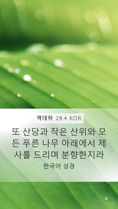 역대하 28:4 KOR Bible Verse Image