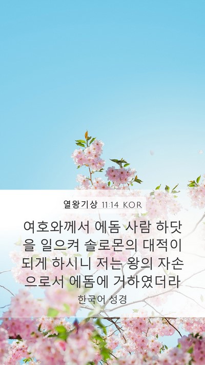 열왕기상 11:14 KOR Bible Verse Image