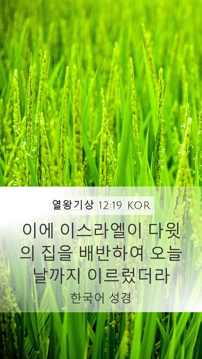 열왕기상 12:19 KOR Bible Verse Image