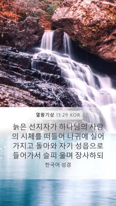 열왕기상 13:29 KOR Bible Verse Image