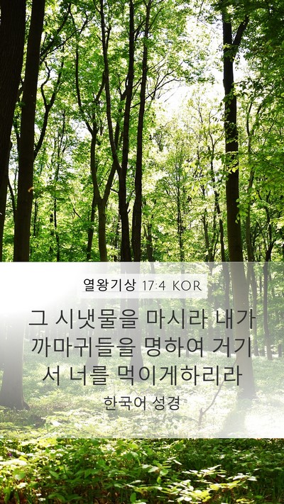 열왕기상 17:4 KOR Bible Verse Image