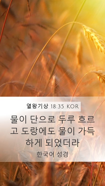 열왕기상 18:35 KOR Mobile Phone Wallpaper - 물이 단으로 두루 흐르고 도랑에도 - Mobile Bible Verse Wallpaper