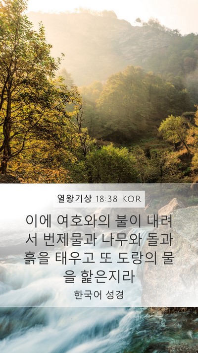 열왕기상 18:38 KOR Bible Verse Image
