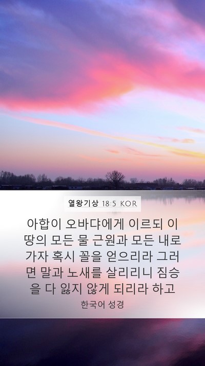 열왕기상 18:5 KOR Bible Verse Image