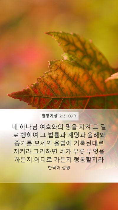 열왕기상 2:3 KOR Bible Verse Image