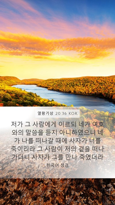 열왕기상 20:36 KOR Bible Verse Image