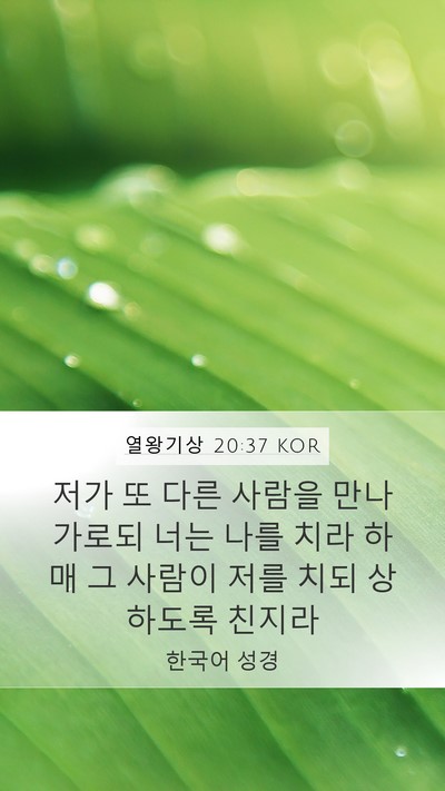 열왕기상 20:37 KOR Mobile Phone Wallpaper - 저가 또 다른 사람을 만나 가로되 - Mobile Bible Verse Wallpaper