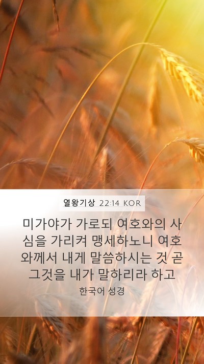 열왕기상 22:14 KOR Bible Verse Image