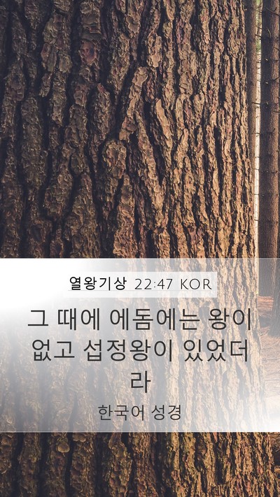 열왕기상 22:47 KOR Bible Verse Image