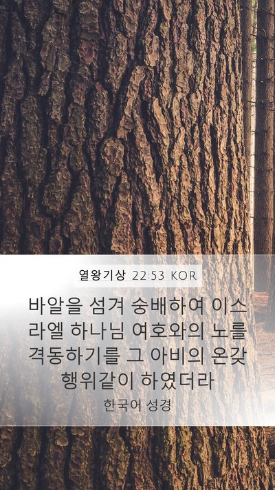 열왕기상 22:53 KOR Bible Verse Image