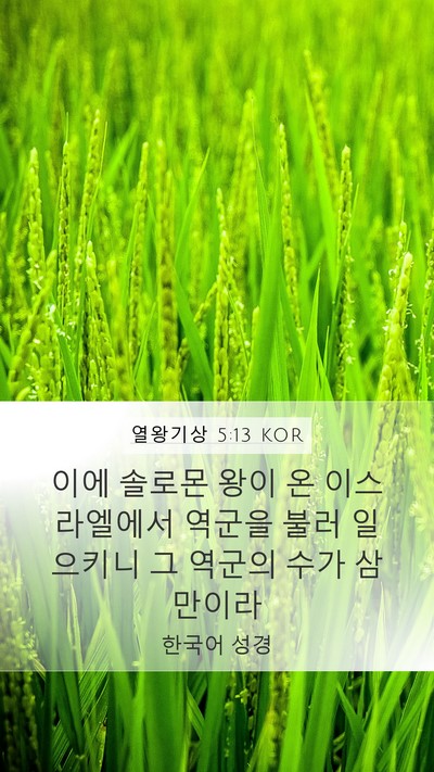 열왕기상 5:13 KOR Bible Verse Image
