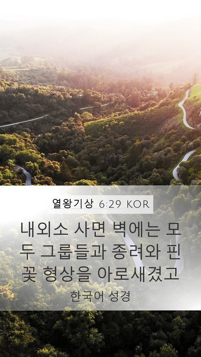열왕기상 6:29 KOR Bible Verse Image