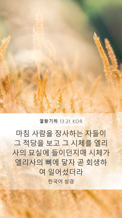 열왕기하 13:21 KOR Bible Verse Image