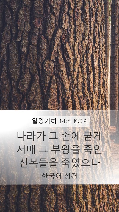 열왕기하 14:5 KOR Mobile Phone Wallpaper - 나라가 그 손에 굳게 서매 그 부왕을 - Mobile Bible Verse Wallpaper