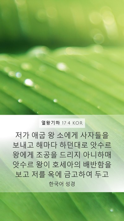 열왕기하 17:4 KOR Bible Verse Image