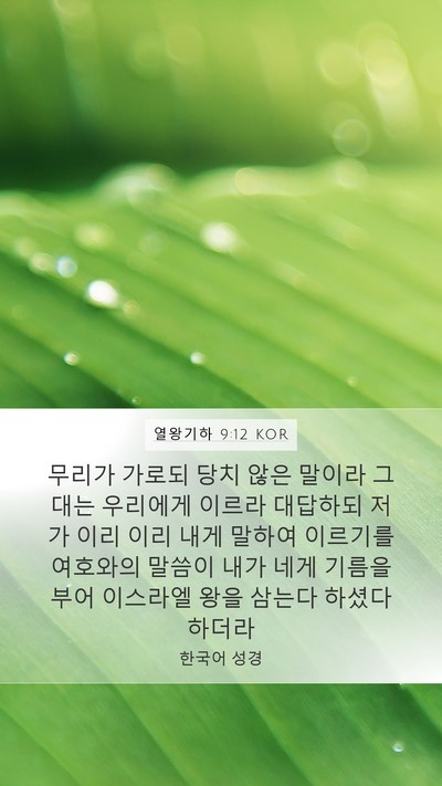 열왕기하 9:12 KOR Mobile Phone Wallpaper - 무리가 가로되 당치 않은 말이라 - Mobile Bible Verse Wallpaper