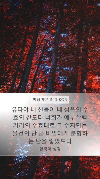 예레미야 11:13 KOR Bible Verse Image