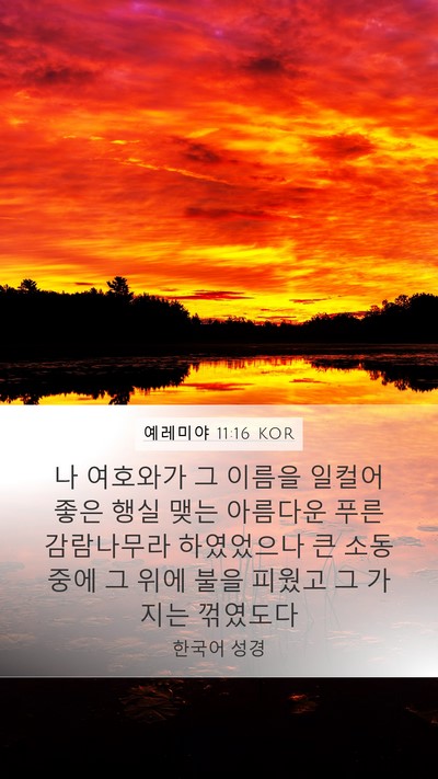 예레미야 11:16 KOR Bible Verse Image