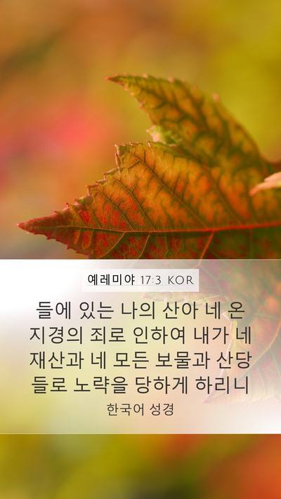 예레미야 17:3 KOR Bible Verse Image