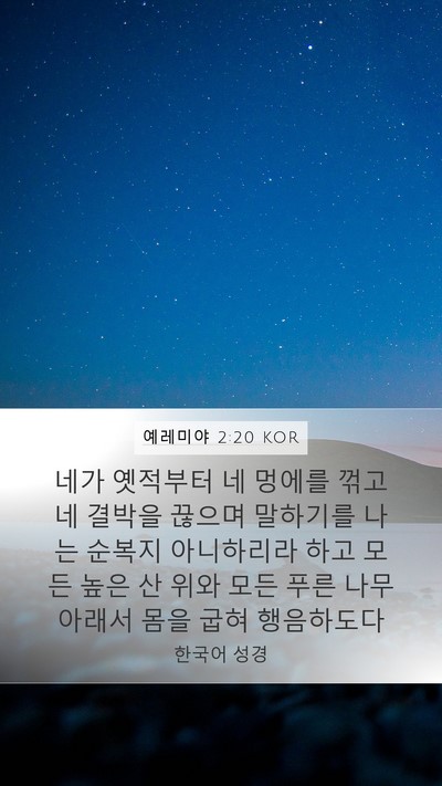 예레미야 2:20 KOR Bible Verse Image