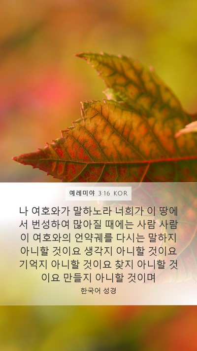 예레미야 3:16 KOR Bible Verse Image