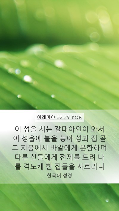 예레미야 32:29 KOR Bible Verse Image