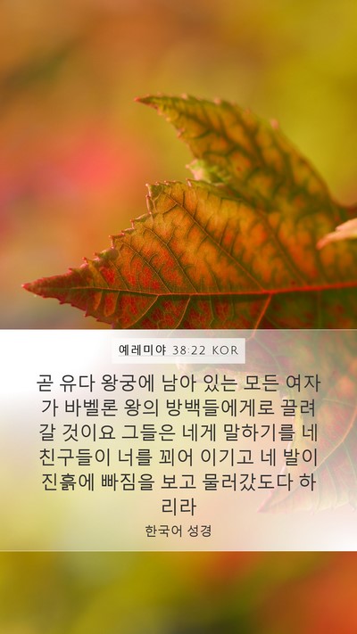 예레미야 38:22 KOR Bible Verse Image